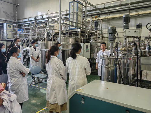 天津科技大学2022-2023年度中青年教师工程能力培训课程圆满结束