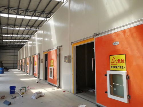 冷库工程安装中的网络工程 智能化管理与高效运营的关键