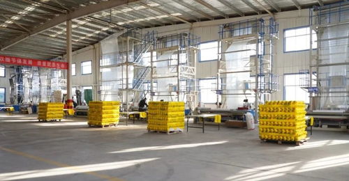 静宁“归雁工程”再结硕果，重点项目竣工投产助力县域经济高质量发展